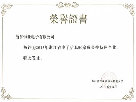 浙江省电子信息成长特色企业